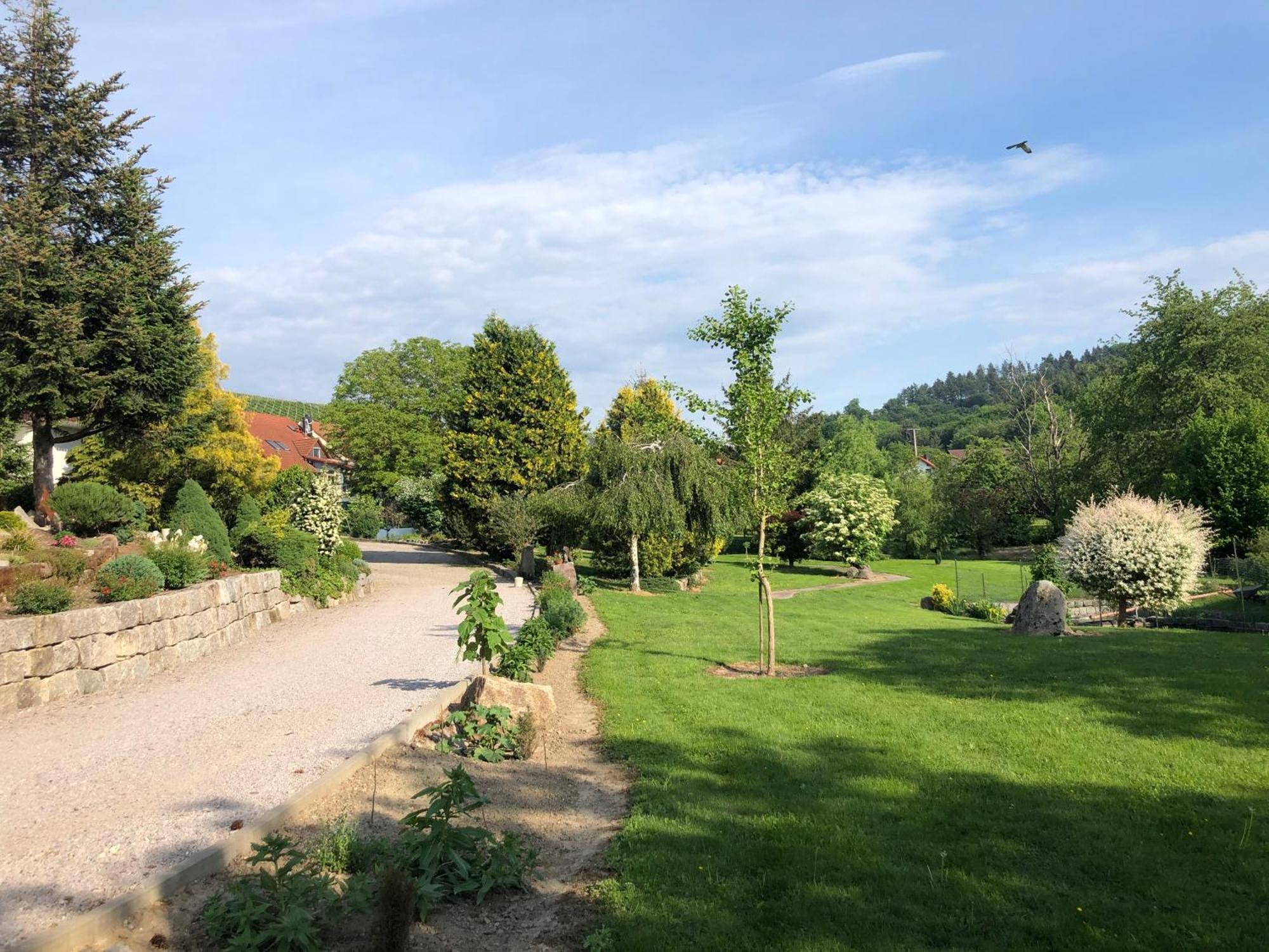 Hotel-Gasthof Rose Oberkirch  Exteriör bild