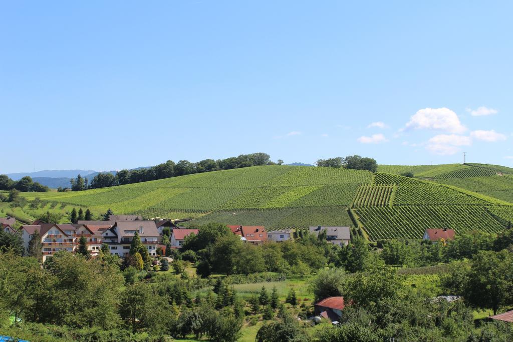 Hotel-Gasthof Rose Oberkirch  Exteriör bild
